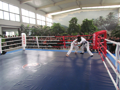 新建太極摔跤場地