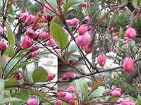 ̫O²O(sh)乫˾쾰ɫ