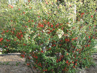 ̫O²O(sh)乫˾쾰ɫ