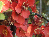 ̫O²O(sh)乫˾쾰ɫ