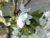 ̫O²O(sh)乫˾쾰ɫ