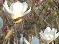 ̫O²O(sh)乫˾쾰ɫ