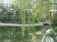 ̫O²O(sh)乫˾쾰ɫ